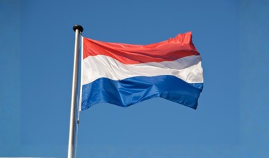 Nederlands leren (A1) – Zinnen en werkwoorden (IN ONTWIKKELING)